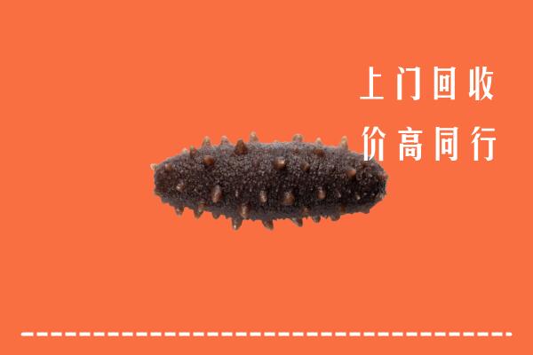 鄂州高价回收海参